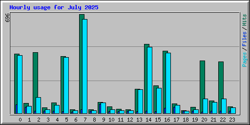 Hourly usage for July 2025