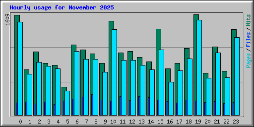 Hourly usage for November 2025